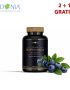 DIVLJA BOROVNICA PLUS – formula za regulaciju šećera u krvi